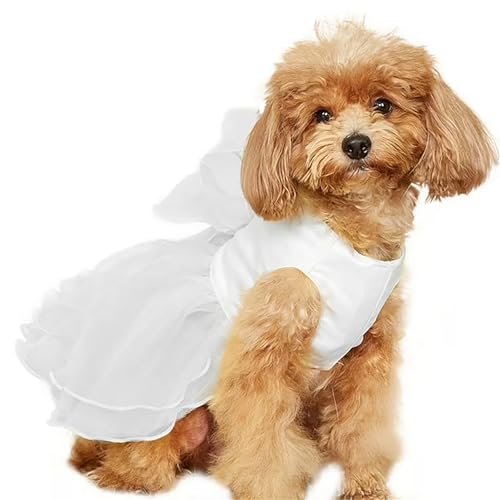 IUOUTG Spitze Hund Prinzessin Kleid, Welpen Geburtstag Hochzeitskleider Mit Bogen, Elegante Tüll Haustier Kleidung Für Katzen Und Kleine Hunde Urlaub Party Kostüm IUOUTG Spitze Hund Prinzessin Kleid, Welpen Geburtstag Hochzeitskleider Mit Bogen, Elegante Tüll Haustier Kleidung Für Katzen Und Kleine Hunde Urlaub Party Kostüm von IUOUTG