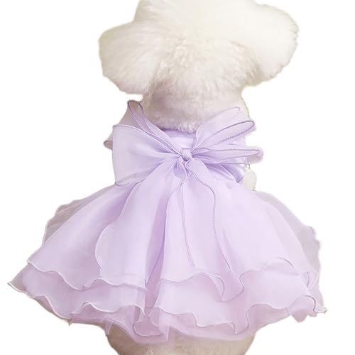 IUOUTG Spitze Hund Prinzessin Kleid, Welpen Geburtstag Hochzeitskleider Mit Bogen, Elegante Tüll Haustier Kleidung Für Katzen Und Kleine Hunde Urlaub Party Kostüm IUOUTG Spitze Hund Prinzessin Kleid, Welpen Geburtstag Hochzeitskleider Mit Bogen, Elegante Tüll Haustier Kleidung Für Katzen Und Kleine Hunde Urlaub Party Kostüm von IUOUTG