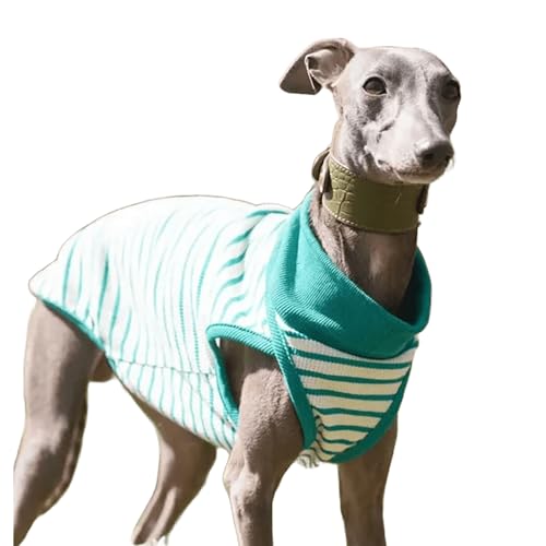 IUOUTG Stripe Baumwolle T-Shirt Für Italienischen Greyhound, Atmungsaktive Dünne Haustierweste, Hund Sommer Ärmellose Sportweste Für Whippets Hunde IUOUTG Stripe Baumwolle T-Shirt Für Italienischen Greyhound, Atmungsaktive Dünne Haustierweste, Hund Sommer Ärmellose Sportweste Für Whippets Hunde von IUOUTG