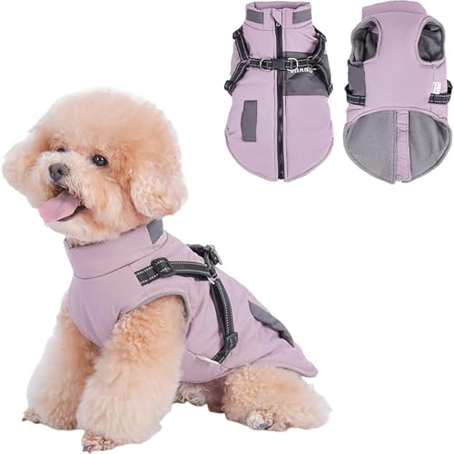 IUOUTG Wasserdichter Winterhundmantel Mit Eingebautem Gurt, Kalte Wetterjacke Für Kleine Hunde, Reflektierende Haustierkleidung Mit Reißverschluss Chihuahua Warme Outfits von IUOUTG