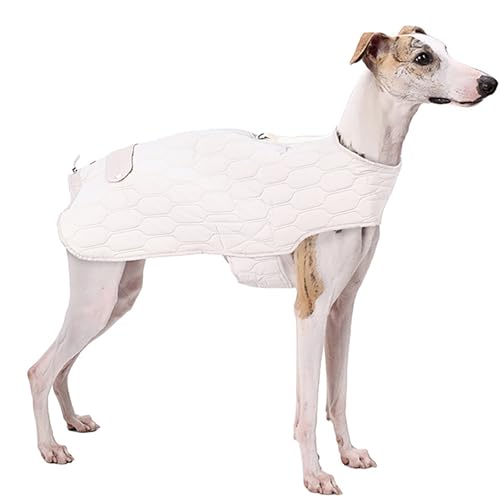 IUOUTG Winterhundmantel Für Italienischen Greyhound, wasserdichte Warme Hunde Kalte Wetterjacke, Leichtes Haustier Schnee Kostüm Für Kleine Mittlere Große Hunde von IUOUTG