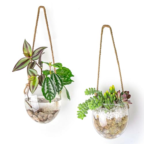 Ivolador 2 Stück Glas Blumen Pflanzen Terrarium Behälter für Hydrokultur Pflanzen Home Office Garten Dekor Wandbehang von IVOLADOR I