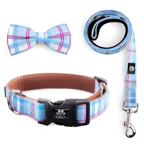 IVY&LANE Hundehalsband mit Fliege und Leine, kariert, verstellbar, abnehmbare Fliege, 152 cm, für kleine, mittelgroße und große Hunde, kariert, Blau, Größe L, 3-teilig IVY&LANE Hundehalsband mit Fliege und Leine, kariert, verstellbar, abnehmbare Fliege, 152 cm, für kleine, mittelgroße und große Hunde, kariert, Blau, Größe L, 3-teilig von IVY&LANE