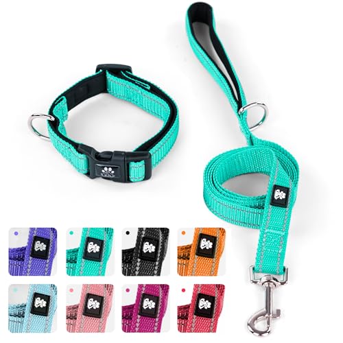 IVY&LANE Hundehalsband und Hundeleine, reflektierend, verstellbar, weich, strapazierfähiges Nylon-Hundeleinen mit gepolstertem Griff, mittel, klein (Blaugrün) von IVY&LANE