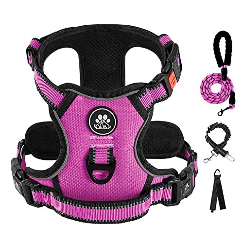 IVY&LANE No Pull Hundegeschirr für große Hunde, Hundewestengeschirr mit Leine, Sicherheitsgurt und Aufbewahrungsgurt, Voll verstellbares Geschirr, 360° Reflexstreifen Weicher Griff (Fuchsie Rosa, XL) von IVY&LANE