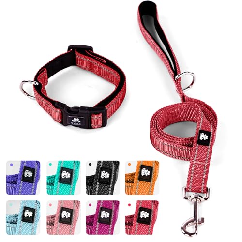 IVY&LANE Reflektierendes Hundehalsband und Leine, verstellbar, Neopren, gepolstert, für Welpen, atmungsaktives Nylon, Haustierhalsband für kleine, mittelgroße und große Hunde, Größe L, Rot IVY&LANE Reflektierendes Hundehalsband und Leine, verstellbar, Neopren, gepolstert, für Welpen, atmungsaktives Nylon, Haustierhalsband für kleine, mittelgroße und große Hunde, Größe L, Rot von IVY&LANE