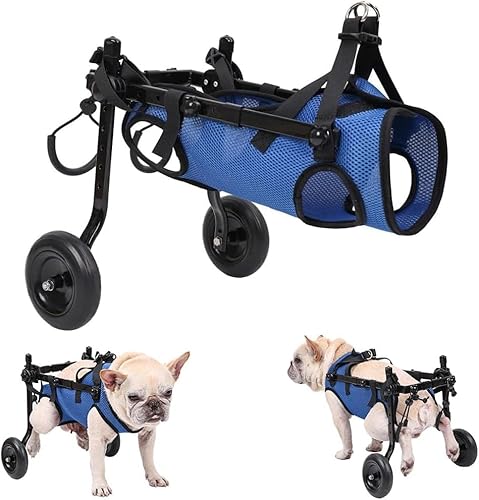 IVhomeshop Hunderollstuhl, verstellbarer Rollstuhl für Rückenbeine, Beinbandage und Hüftstütze, hilft kleinen Haustieren mit gelähmten Hintergliedmaßen, ihre Mobilität wiederherzustellen (Größe M) von IVhomeshop