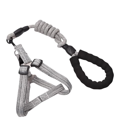 Hundeleine, D-Schnalle, bequeme Hundeweste für Hunde, D-Schnalle, mehrfarbig Hundeleine, D-Schnalle, bequeme Hundeweste für Hunde, D-Schnalle, mehrfarbig von IWOMA