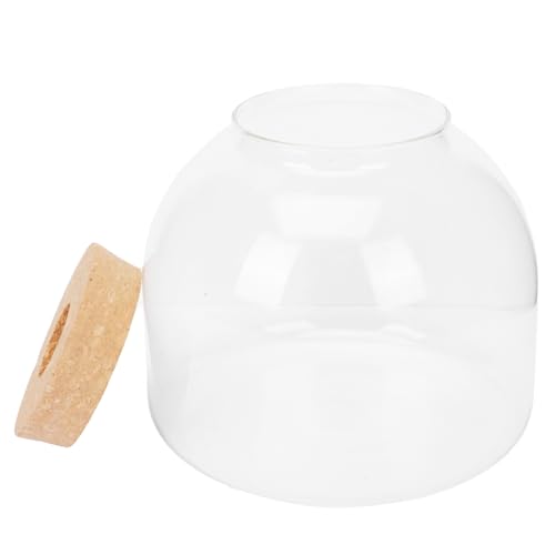 IWOWHERO 1Satz Mikrolandschaftsflasche Dekorative Glasvase für DIY Pflanzen Transparentes Terrarium für Wohnkultur und Heimdekoration Korkverschluss von IWOWHERO