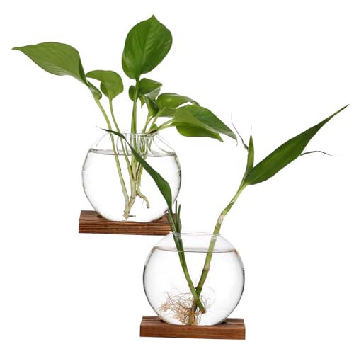 IWOWHERO 2 STK kreative Vase Vermehrungsvasen für Pflanzen Terrarienglas Pflanzenterrarium Vermehrungsgefäße Transparente Glasvase Terrarium Glasvase klare Vase Blumentopf aus Glas IWOWHERO 2 STK kreative Vase Vermehrungsvasen für Pflanzen Terrarienglas Pflanzenterrarium Vermehrungsgefäße Transparente Glasvase Terrarium Glasvase klare Vase Blumentopf aus Glas von IWOWHERO