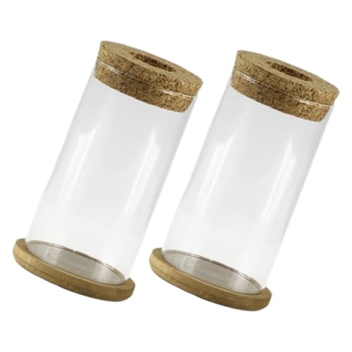 IWOWHERO 2 Sätze Hydroponische Vase Samen Outdoor-töpfe Für Pflanzen Transparenter Blumenhalter Kleine Pflanzentöpfe Lampe Getrocknet Künstlich Gefälscht Drainage Mini Glas von IWOWHERO