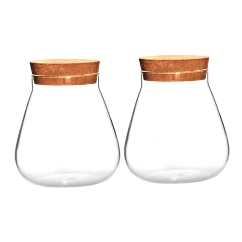 IWOWHERO 2 Stück Klare Glasflaschen mit Korkverschluss Dekorative Landschaftsgläser für Sukkulenten Hydroponische Pflanzen und DIY Terrarium Transparent Langlebig und Vielseitig für von IWOWHERO
