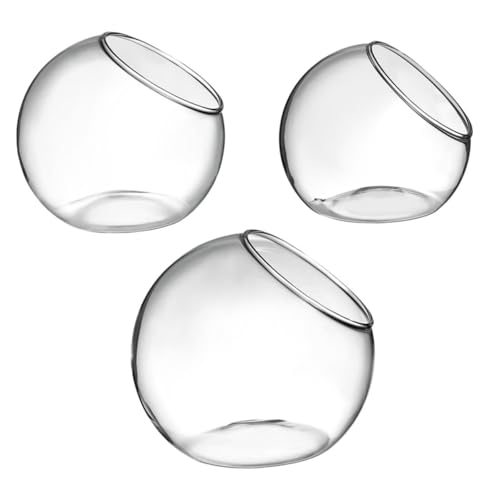 IWOWHERO 3 Stück Glas-Terrarium, Mikro-landschaftsbau-behälter, Aufbewahrungsbehälter, Glas-Terrarium- IWOWHERO 3 Stück Glas-Terrarium, Mikro-landschaftsbau-behälter, Aufbewahrungsbehälter, Glas-Terrarium- von IWOWHERO