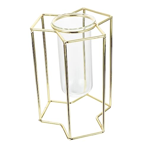 IWOWHERO Blumenröhre Aus Mit Eisenkunstgestell Hydrokulturbehälter Für Moderne Tischdeko Ideal Für Grüne Pflanzen Und Blumenarrangements Langlebig Und Stilvoll IWOWHERO Blumenröhre Aus Mit Eisenkunstgestell Hydrokulturbehälter Für Moderne Tischdeko Ideal Für Grüne Pflanzen Und Blumenarrangements Langlebig Und Stilvoll von IWOWHERO