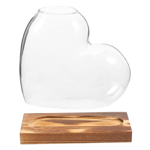 IWOWHERO Hydroponische Vase Wasserflaschenvase Rahmenvase Innenvase Container Können Vasen Panzern Blumenvase Blumentopf Fenstervase Bürovase Grüne Vase Hausvase Transparent Hölzern IWOWHERO Hydroponische Vase Wasserflaschenvase Rahmenvase Innenvase Container Können Vasen Panzern Blumenvase Blumentopf Fenstervase Bürovase Grüne Vase Hausvase Transparent Hölzern von IWOWHERO