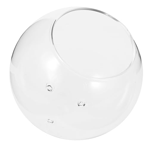 IWOWHERO Micro-Landschaftsvase Aquarienlicht Obstschale Fischtankdekor Fischglas-Desktop klare Aquariumschale hochzeitsdeko hochzeitsdeco Haushaltszubehör transparentes Desktop-Fischglas von IWOWHERO