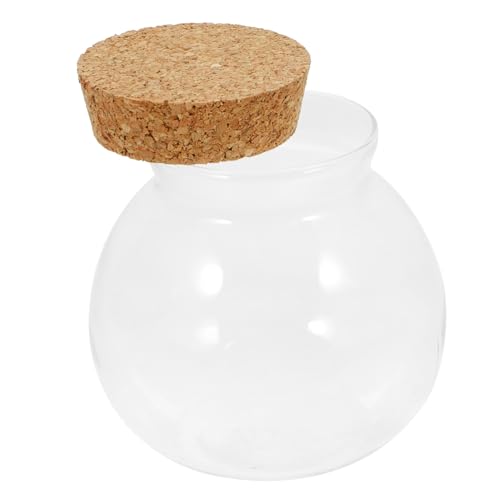 IWOWHERO Ökologische Glasflasche für Terrarien DIY Pflanzen Mikrolandschaftsbehälter für Kreative Innen und Außendekoration Robustes Design Eichenholz von IWOWHERO