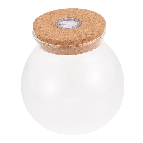 IWOWHERO Ökologische Glasflasche mit LED Licht DIY Terrarium Dekoration für Wohnzimmer Schlafzimmer und Staubdicht und Vielseitig Einsetzbar Designflasche IWOWHERO Ökologische Glasflasche mit LED Licht DIY Terrarium Dekoration für Wohnzimmer Schlafzimmer und Staubdicht und Vielseitig Einsetzbar Designflasche von IWOWHERO