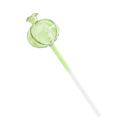 IWOWHERO eingemachte Kaktusfeige pflanzenpflege blumentopf zimmerpflanzen wasserspender Pflanzenbewässerungssystem für den Urlaub Bewässerungsspitzen für Pflanzen Glas Light Green IWOWHERO eingemachte Kaktusfeige pflanzenpflege blumentopf zimmerpflanzen wasserspender Pflanzenbewässerungssystem für den Urlaub Bewässerungsspitzen für Pflanzen Glas Light Green von IWOWHERO