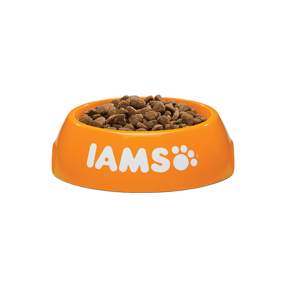 IAMS Adult Katzenfutter - Lamb & Chicken - 10 kg von Iams