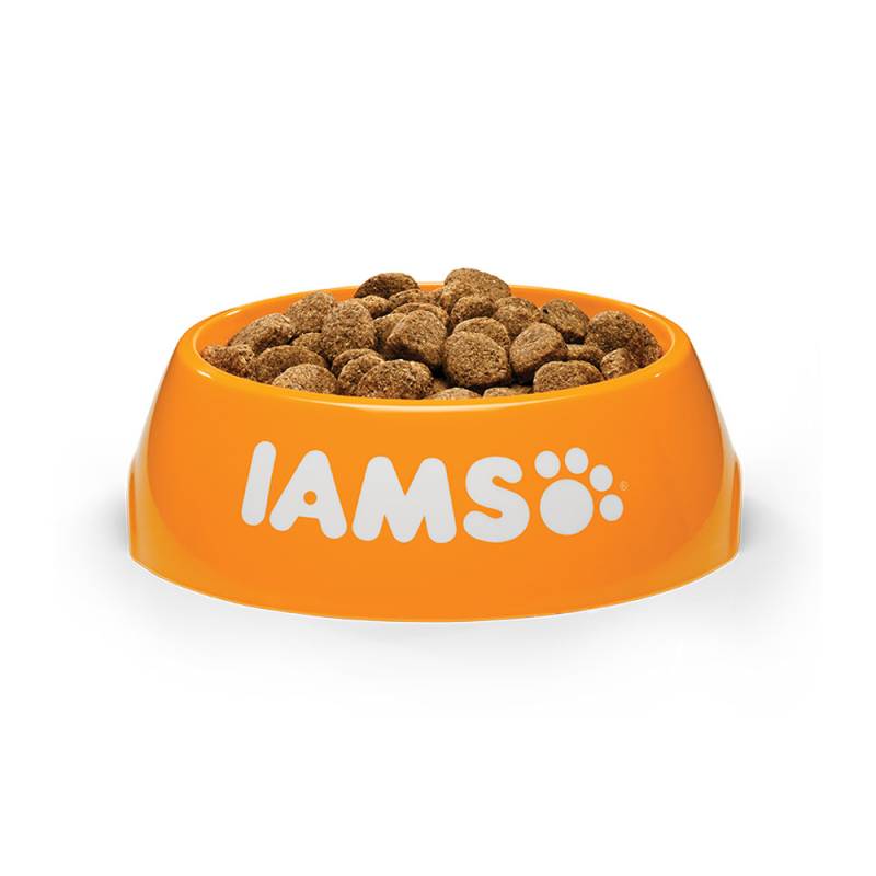 IAMS Adult Large Breed Hundefutter - Lamm - 12 kg von Iams