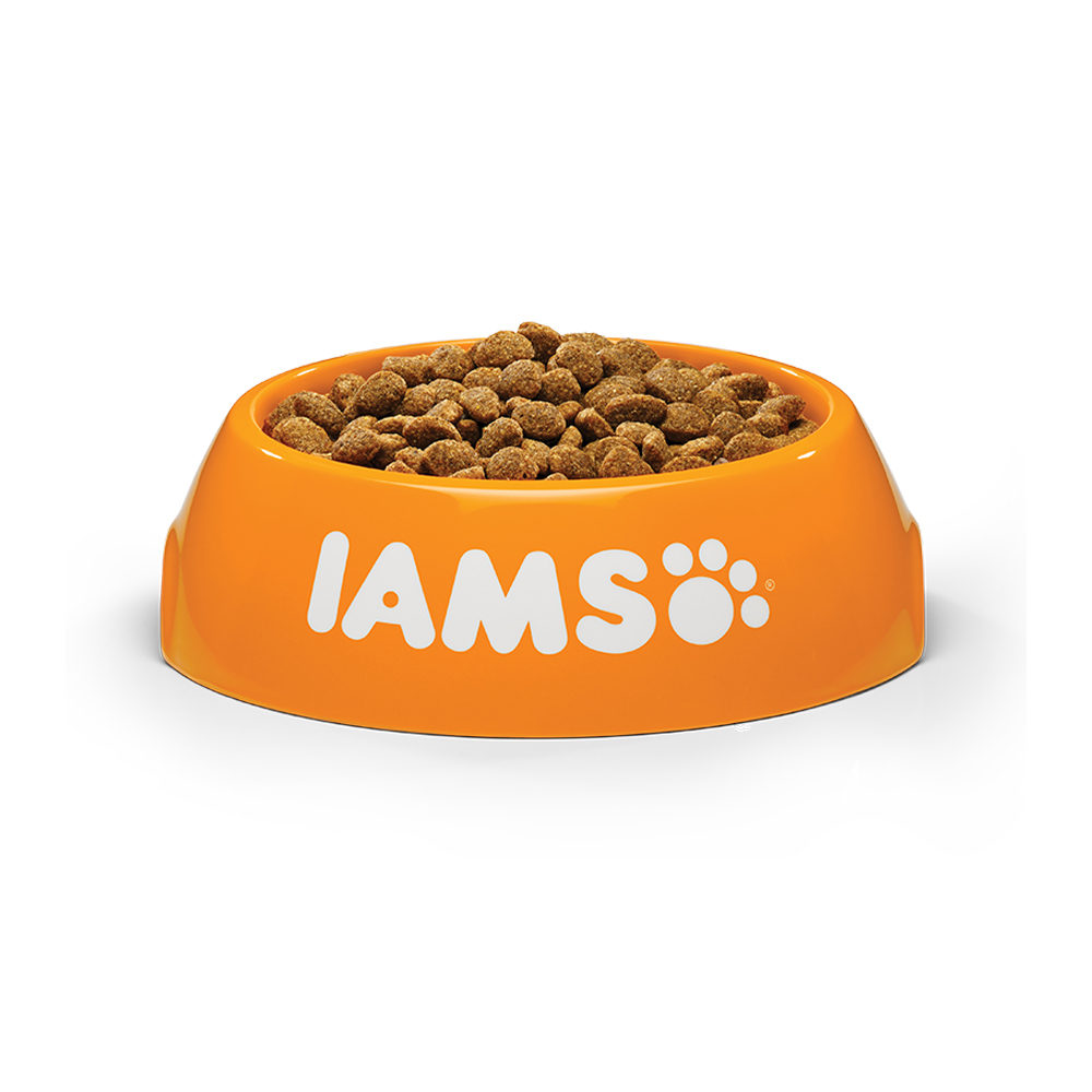 IAMS Adult Small & Medium Hundefutter - Lamm - 12 kg von Iams