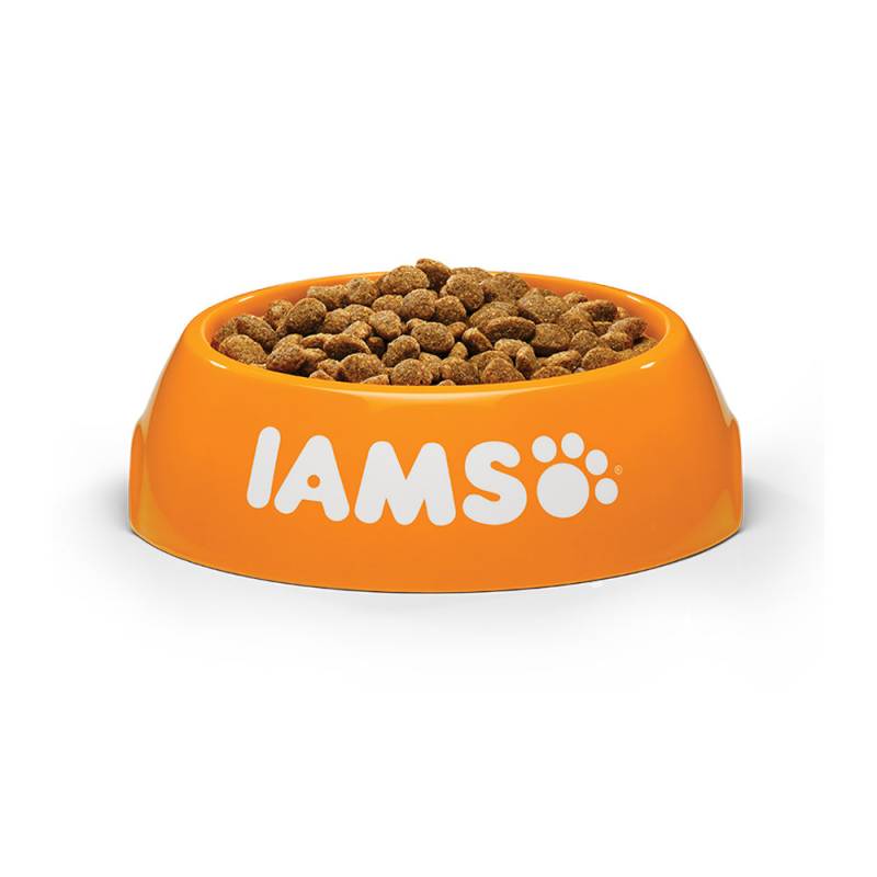 IAMS Adult Small & Medium Hundefutter - Lamm - 12 kg von Iams