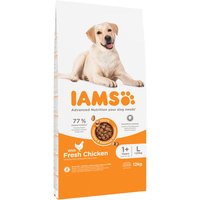 IAMS Advanced Nutrition Adult Large Dog mit Huhn - 2 x 12 kg von Iams