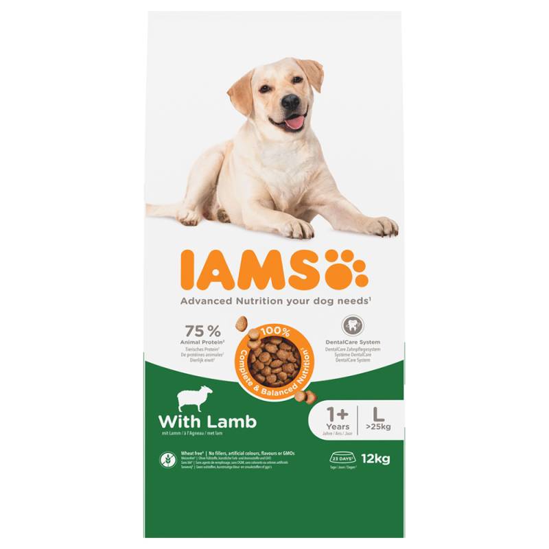 IAMS Advanced Nutrition Adult Large Dog mit Lamm - 12 kg IAMS Advanced Nutrition Adult Large Dog mit Lamm - 12 kg von Iams