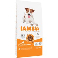IAMS Advanced Nutrition Adult Small & Medium Dog mit Huhn - 2 x 12 kg von Iams