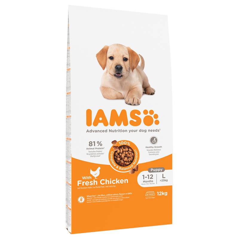 IAMS Advanced Nutrition Puppy Large mit Huhn - 12 kg von Iams
