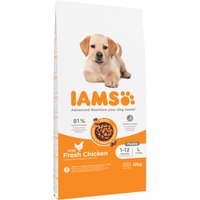 IAMS Advanced Nutrition Puppy Large mit Huhn - 12 kg von Iams