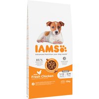 IAMS Advanced Nutrition Puppy Small / Medium Breed mit Huhn - 2 x 12 kg von Iams
