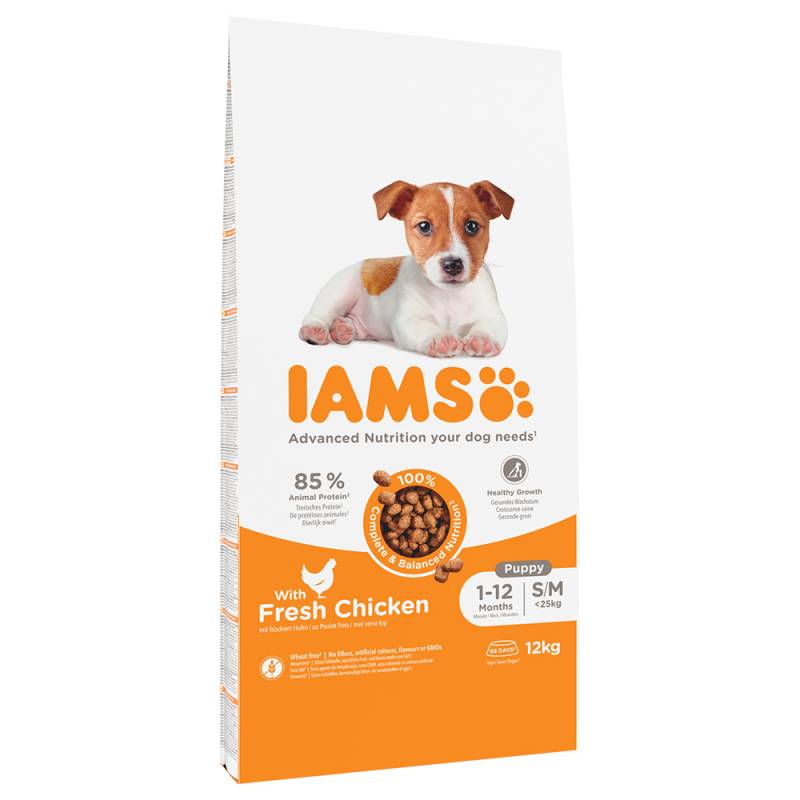 IAMS Advanced Nutrition Puppy Small / Medium Breed mit Huhn - Sparpaket: 2 x 12 kg von Iams