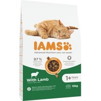 IAMS Advanced Nutrition Trockenfutter Katze, Adult ab 1 Jahr, Lamm 10 kg von Iams