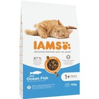 IAMS Advanced Nutrition Trockenfutter Katze, Adult ab 1 Jahr, Seefisch 10 kg von Iams