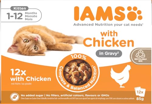 IAMS Delights Kitten Nassfutter - Multipack Katzenfutter mit Huhn in Sauce, hochwertiges Futter für Junior Kätzchen von 1-12 Monate, 12 x 85g von Iams