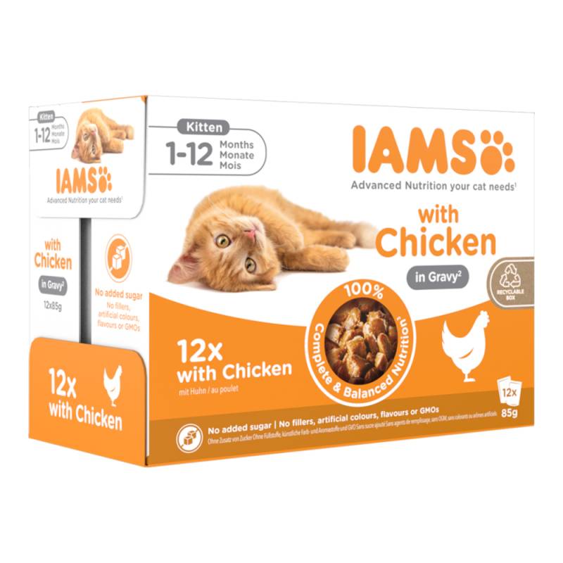 IAMS Delights Kitten Huhn in Sauce - 12 x 85 g von Iams