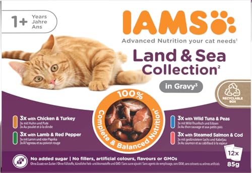 IAMS Delights Land & Sea Collection Katzenfutter Nass - Multipack mit Fleisch und Fisch Sorten in Sauce, Nassfutter für Katzen ab 1 Jahr, 12 x 85 g von Iams