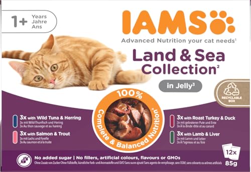 IAMS Delights Land & Sea Collection Katzenfutter Nass - Multipack mit Fleisch und Fisch Sorten in Gelee, Nassfutter für Katzen ab 1 Jahr, 12 x 85 g von Iams