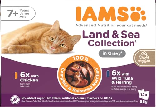 IAMS Delights Senior Katzenfutter Nass - Multipack mit Huhn und Fisch in Sauce, hochwertiges Nassfutter für ältere Katzen ab 7 Jahre, 12 x 85 g von Iams