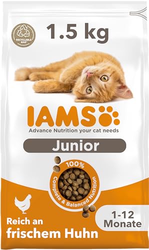 IAMS Junior Katzenfutter trocken mit Huhn - Trockenfutter für Kitten im Alter von 1-12 Monaten, 1,5 kg von Iams