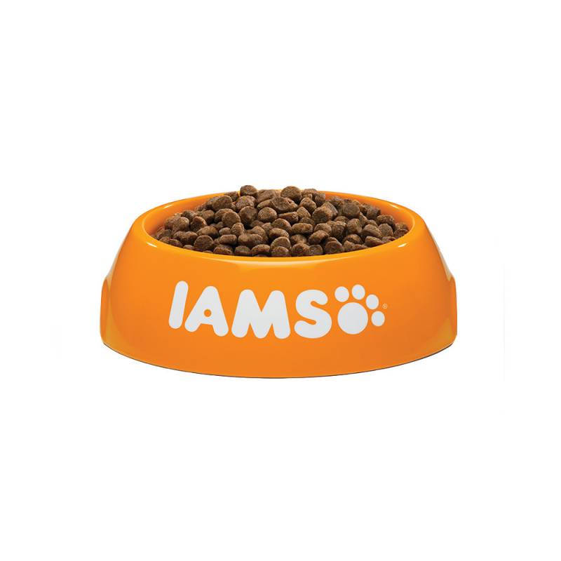 IAMS Kitten & Junior Kittenfutter - 3 kg von Iams