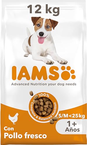 IAMS Hundefutter trocken mit Huhn - Trockenfutter für erwachsene Hunde ab 1 Jahr, geeignet für kleine & mittelgroße Hunde, 12 kg von Iams