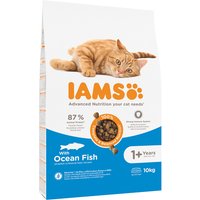 IAMS Advanced Nutrition Adult Cat mit Seefisch - 10 kg von Iams