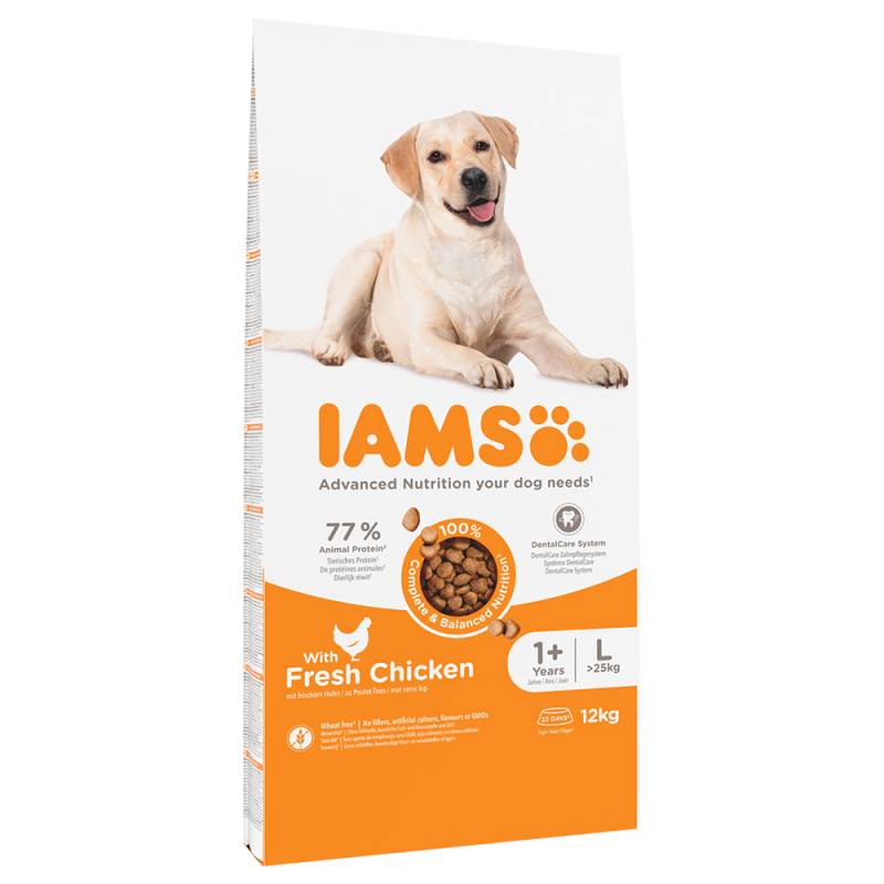 IAMS Advanced Nutrition Adult Large Dog mit Huhn - Sparpaket: 2 x 12 kg von Iams