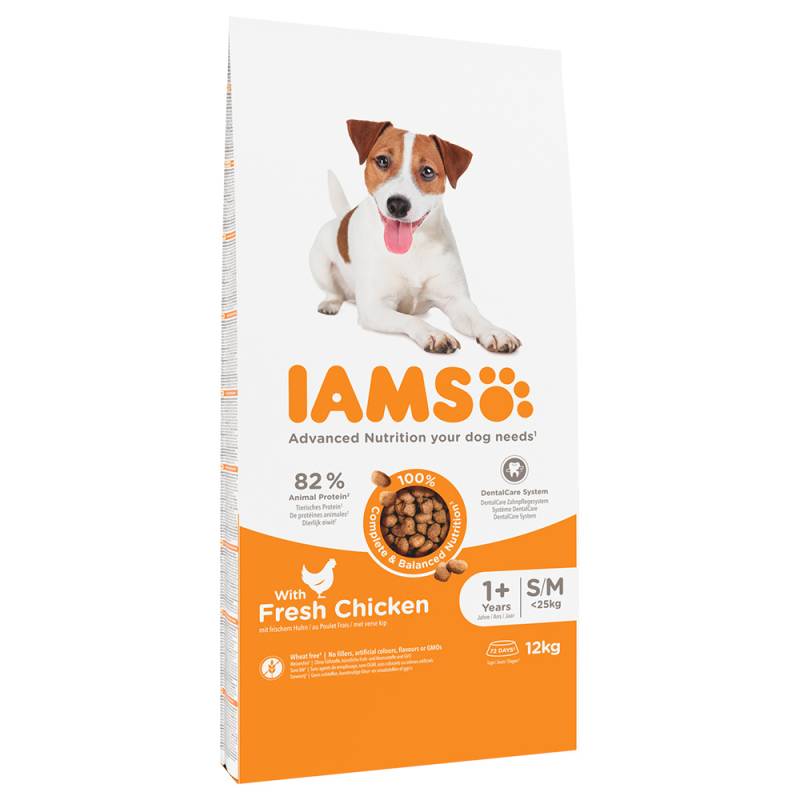 IAMS Advanced Nutrition Adult Small & Medium Dog mit Huhn - Sparpaket: 2 x 12 kg von Iams
