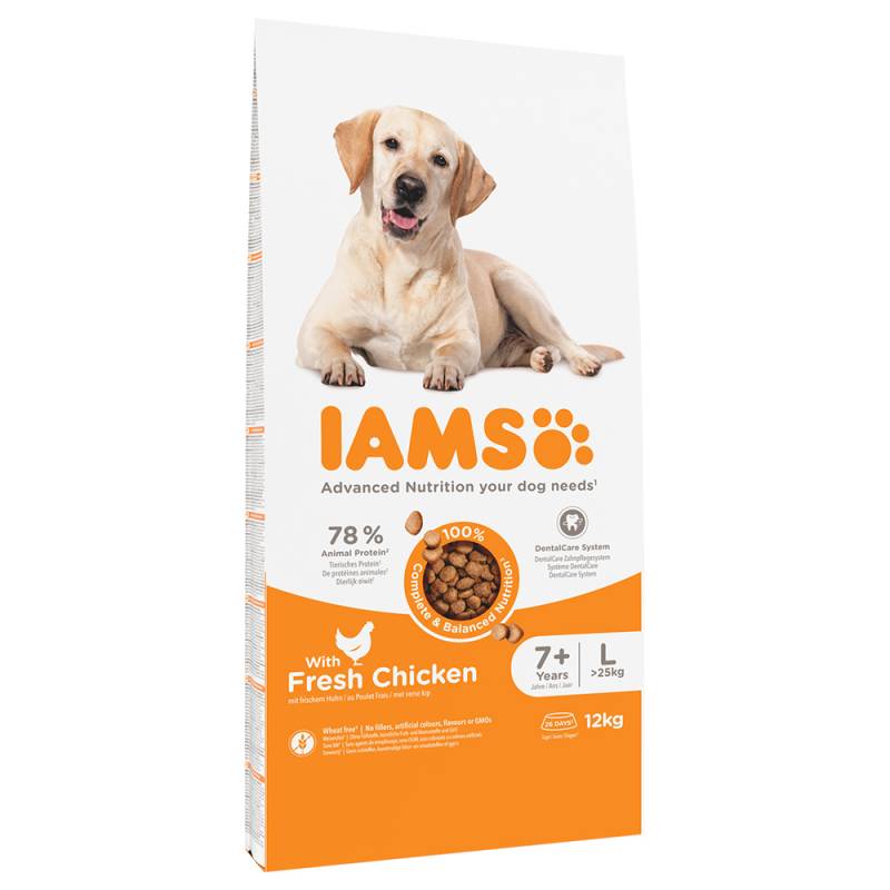 IAMS Advanced Nutrition Senior Large Dog mit Huhn - Sparpaket: 2 x 12 kg von Iams
