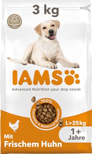 IAMS Hundefutter trocken mit Huhn - Trockenfutter für erwachsene Hunde ab 1 Jahr, geeignet für große Hunde, 3 kg von Iams