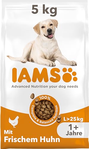 IAMS Hundefutter trocken mit Huhn - Trockenfutter für erwachsene Hunde ab 1 Jahr, geeignet für große Hunde, 5 kg von Iams